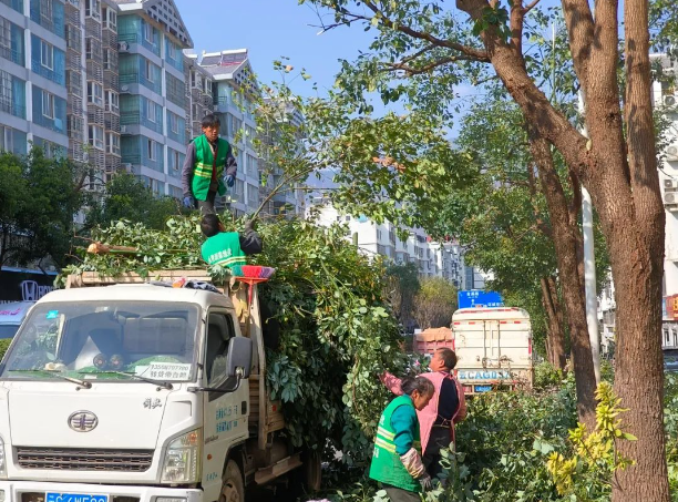 永善：春季修枝正当时 安全“颜值”两不误