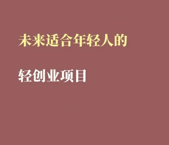 有哪些可以赚钱的创业项目?2种常见可以增加收入的SF私域汇总