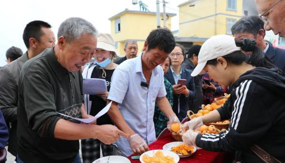 2024年昭通永善“枇杷王”出炉，口感鲜美引热议！