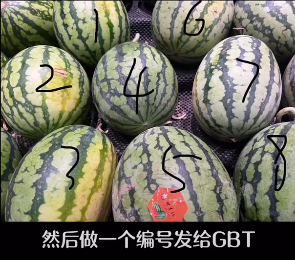 GPT4o模型：解锁生活新方式，实用超乎想象！