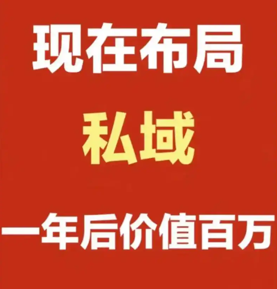 揭秘海外私域营销秘诀，助你轻松月入过万！