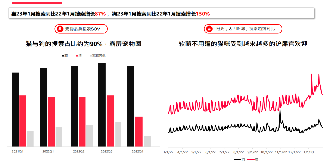 📈小红书开店趋势分析：2025年热门品类预测🔮